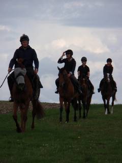 10 Gallops.jpg