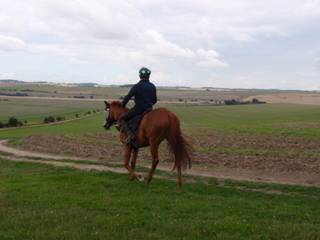 11 Gallops.jpg