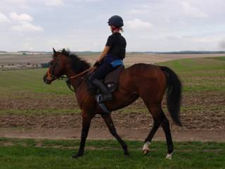 13 Gallops.jpg