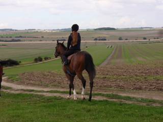 14 Gallops.jpg