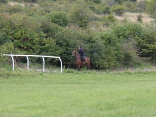 15 Gallops.jpg