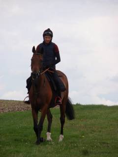 16 Gallops.jpg