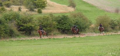 23 Gallops.jpg
