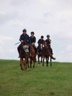 24 Gallops.jpg