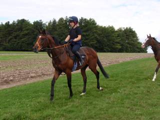 29 Gallops.jpg