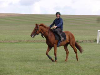 33 Gallops.jpg
