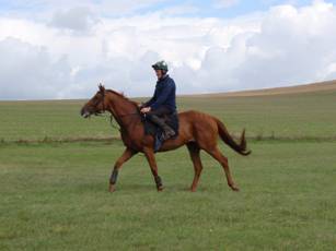 34 Gallops.jpg