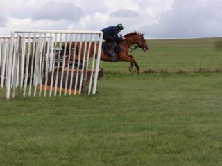 37 Gallops.jpg