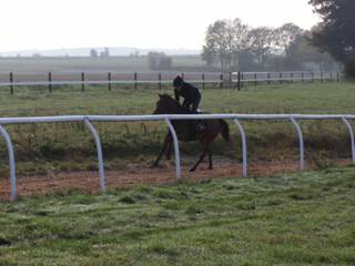 d Gallops Champas.jpg