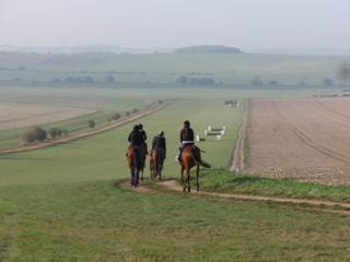h Gallops.jpg