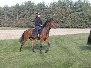 o Gallops.jpg