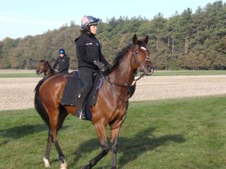 v Gallops Percy Prosecco.jpg