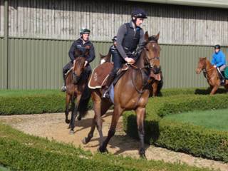 Gallops a.jpg