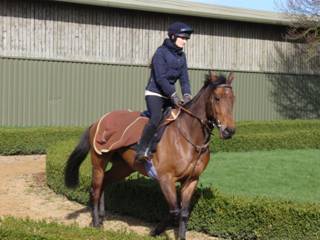 Gallops c.jpg