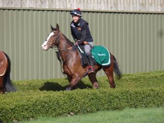 Gallops d.jpg