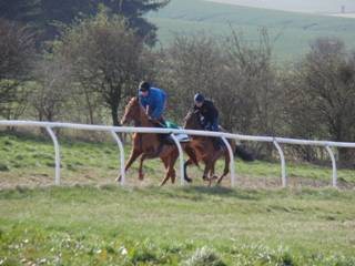 Gallops i.jpg