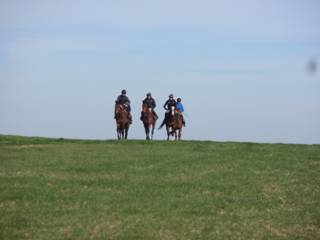 Gallops j.jpg