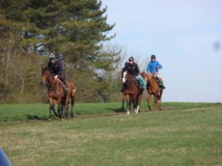 Gallops k.jpg