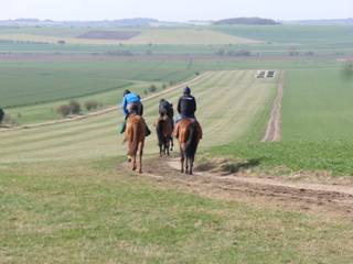 Gallops n.jpg