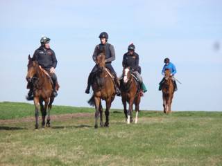 Gallops o.jpg