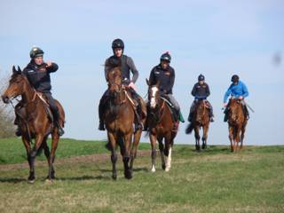 Gallops p.jpg