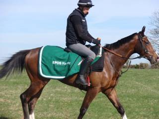 Gallops s.jpg