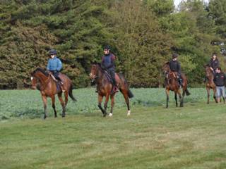 Gallops 8.jpg