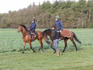 Gallops 11.jpg