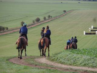 Gallops 12.jpg