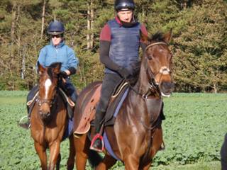 Gallops 20.jpg