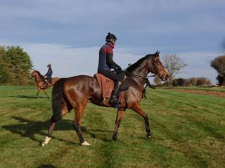 Gallops 25.jpg