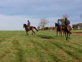 Gallops 27.jpg