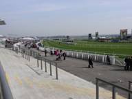 Aintree Day 3 2010 b.jpg