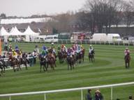 Aintree Day 3 2010 g.jpg