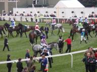 Aintree Day 3 2010 q.jpg