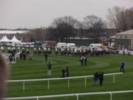 Aintree Day 3 2010 z.jpg