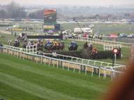 Aintree Day 3 2010 a1.jpg