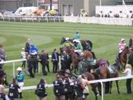 Aintree Day 3 2010 d1.jpg