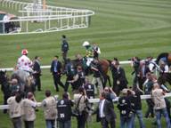 Aintree Day 3 2010 f1.jpg