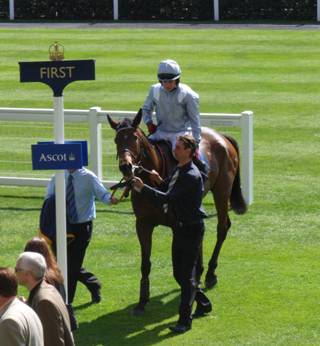 Ascot 10 April 2011 e r.jpg