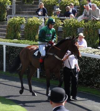 Ascot 10 April 2011 r r.jpg