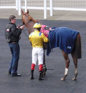 Ascot 14 Feb red 4.jpg