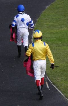 Ascot 14 Feb red 6.jpg