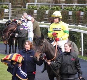 Ascot 14 Feb red 11.jpg