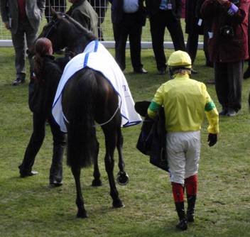 Ascot 14 Feb red 12.jpg