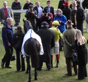 Ascot 14 Feb red 13.jpg