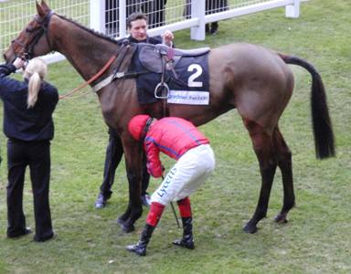 Ascot 14 Feb red 18.jpg