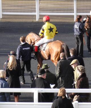 Ascot 17 Jan red7.jpg