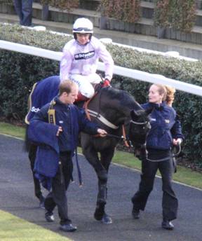 Ascot 20 Feb 2010 a r.jpg