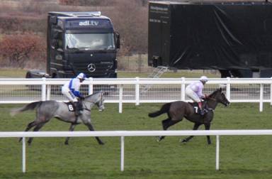 Ascot 20 Feb 2010 d r.jpg